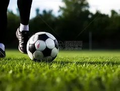 巴塞一球制,国王杯战皇,马争锋,新葡京,新葡京app,新葡京娱乐,新普京赌场