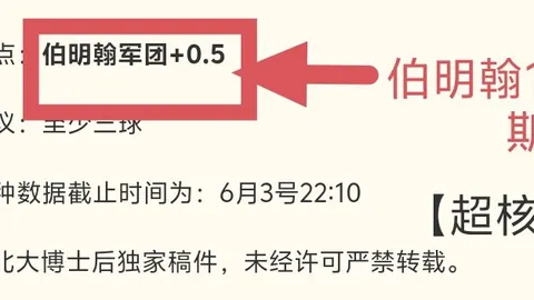 篮球精准表现，新西联小高潮，状态佳不容错过每一球