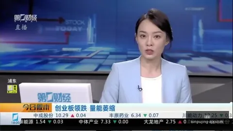 拜仁5-3奥格斯堡：坎塞洛首秀破门，帕瓦尔梅开二度，德甲焦点战大逆转